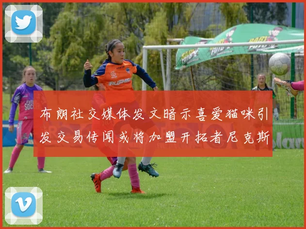 布朗社交媒体发文暗示喜爱猫咪引发交易传闻或将加盟开拓者尼克斯雷霆湖人